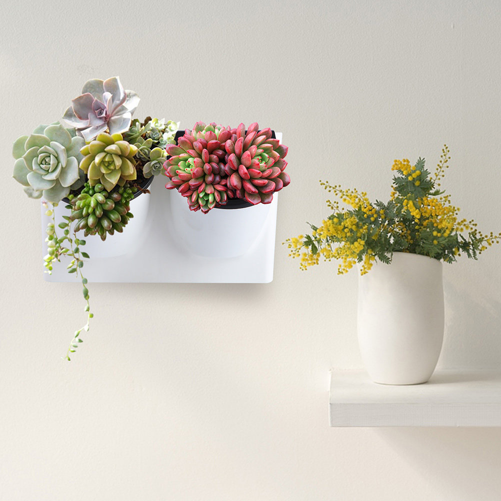 Self Watering Flower Pot Plast - Succulent Planter Pot ulasan dan harga