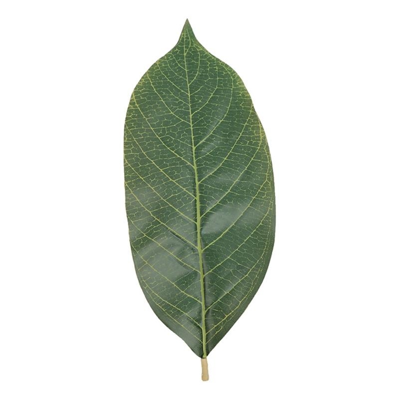 Artificial Green Magnolia Leav - Home Decor Catalog ulasan dan harga