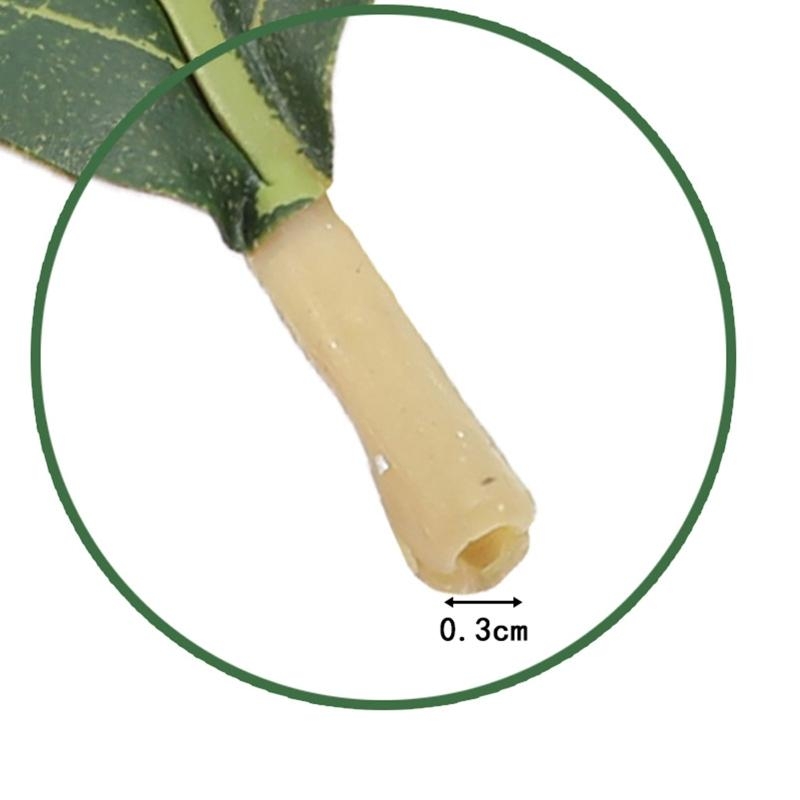 Artificial Green Magnolia Leav - Home Decor Catalog ulasan dan harga