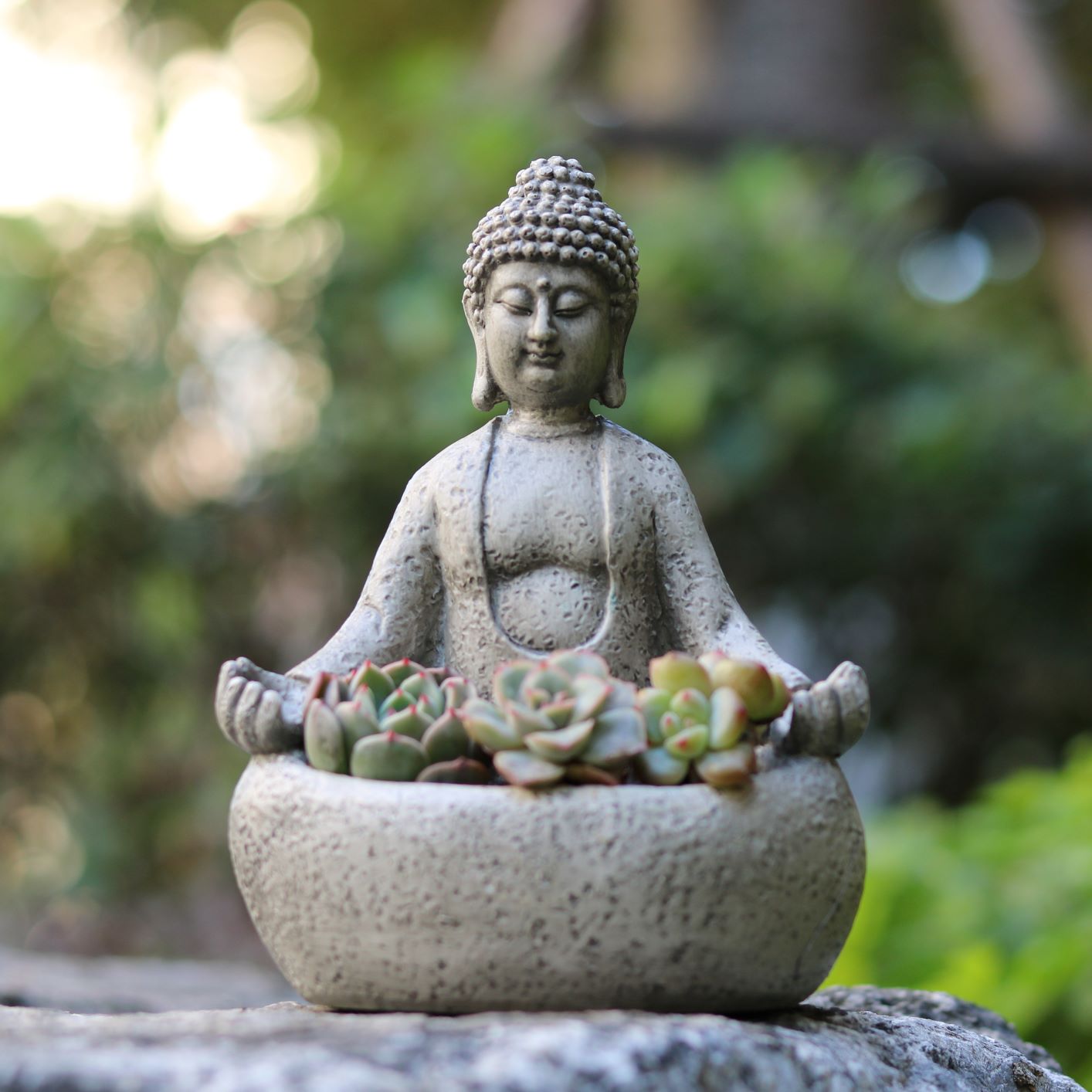 Meditating Buddha Succulent Pl - Succulent Planter Pot ulasan dan harga
