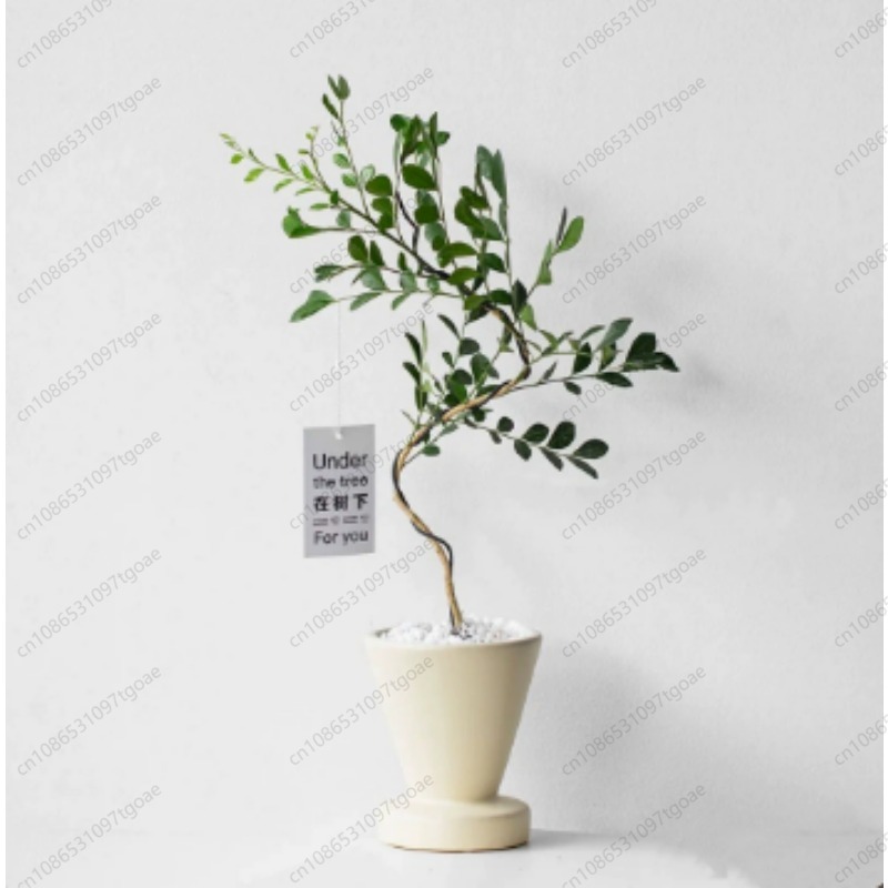 Minimalist Conical Ceramic Pla - Succulent Planter Pot ulasan dan harga