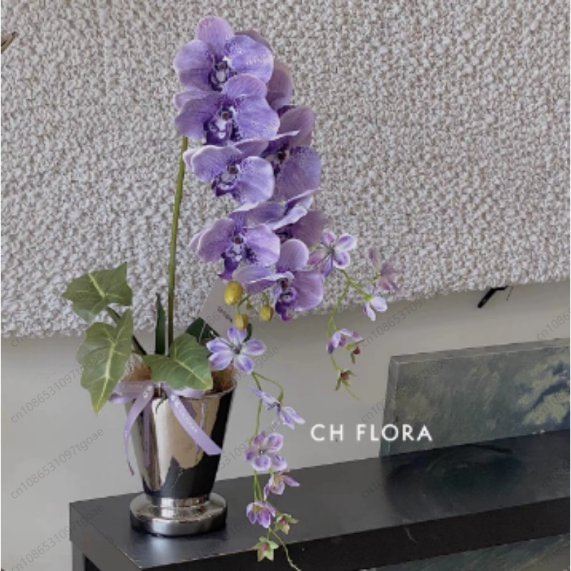Minimalist Conical Ceramic Pla - Succulent Planter Pot ulasan dan harga