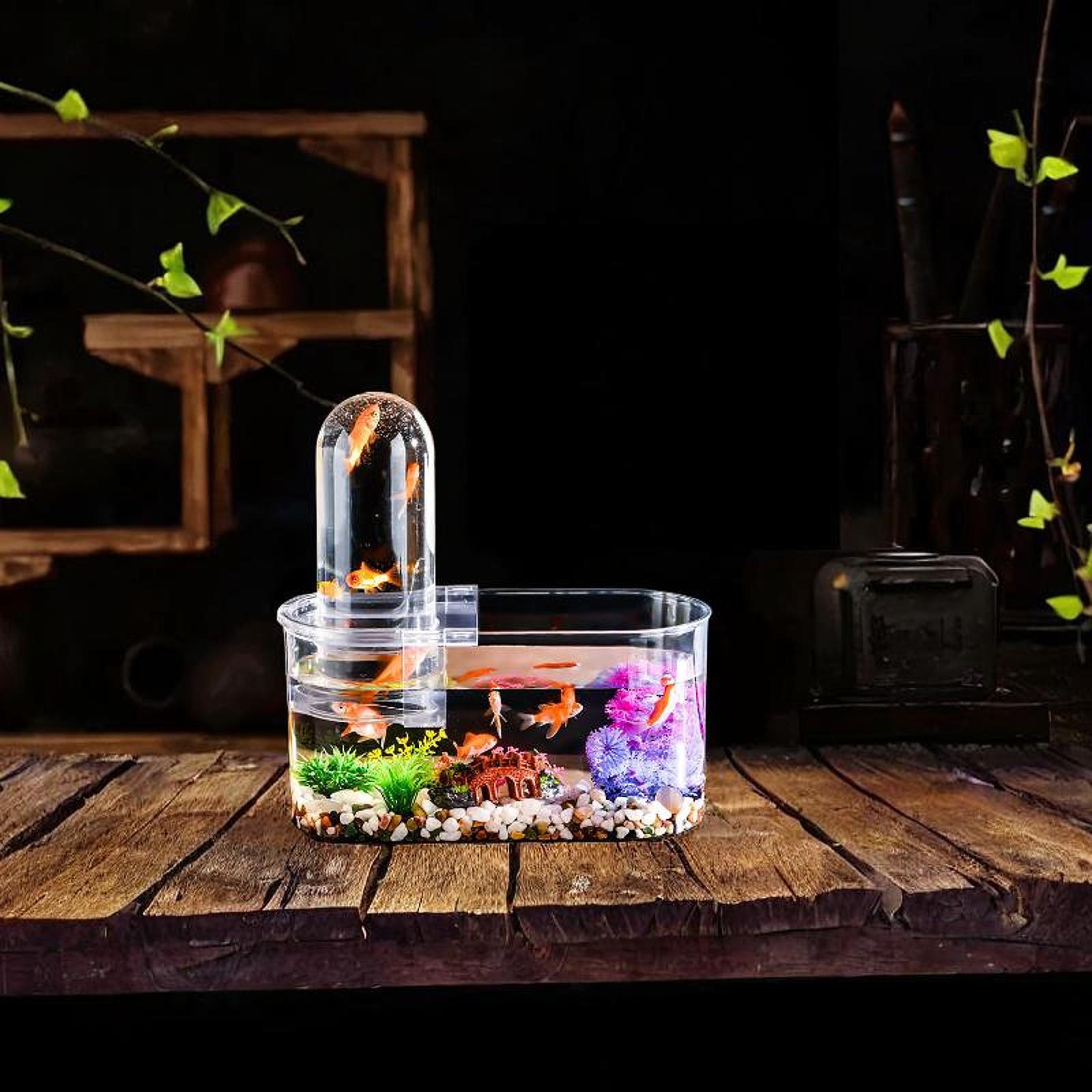 Mini Fish Tank Sturdy with Ven - Home Decor Habitat ulasan dan harga