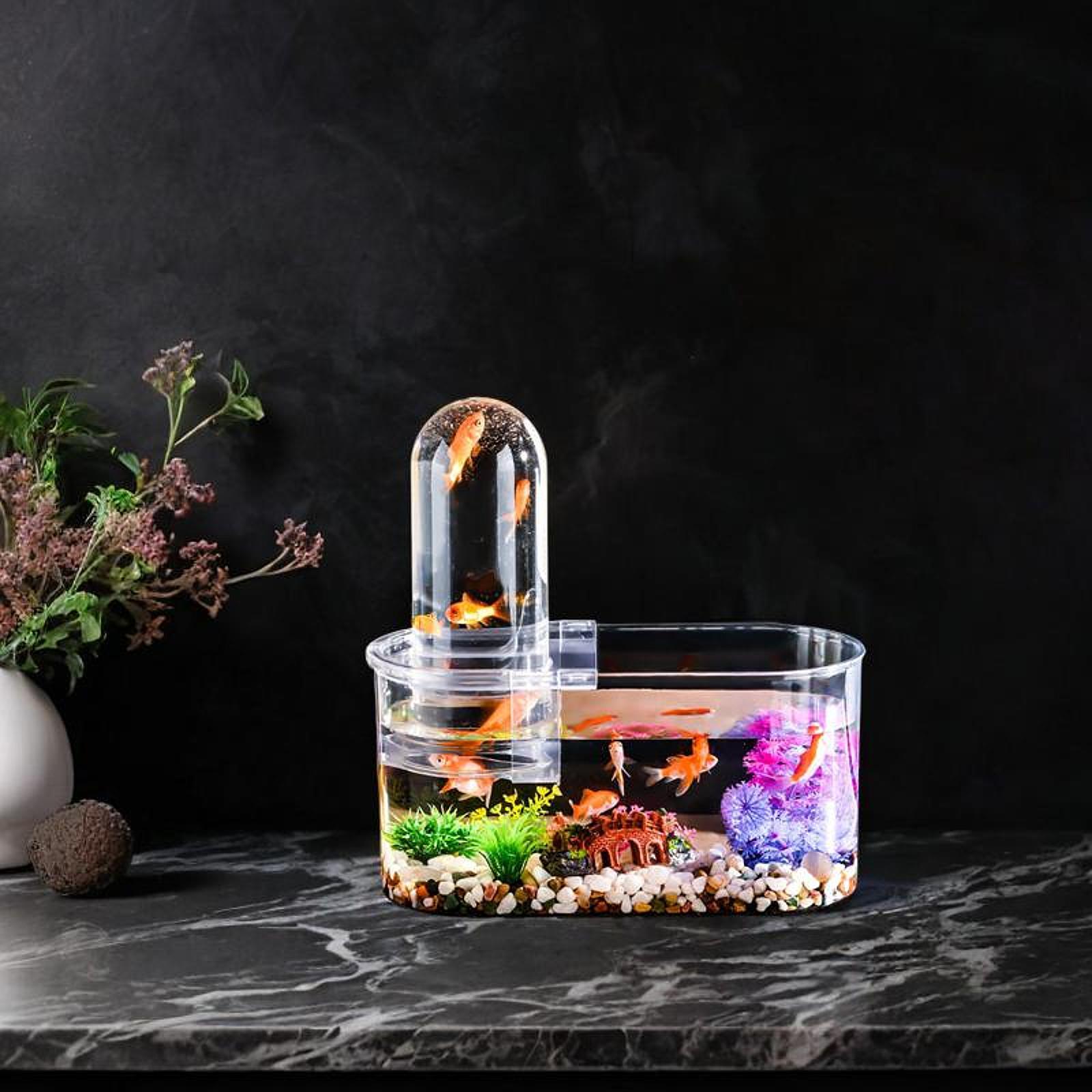 Mini Fish Tank Sturdy with Ven - Home Decor Habitat ulasan dan harga