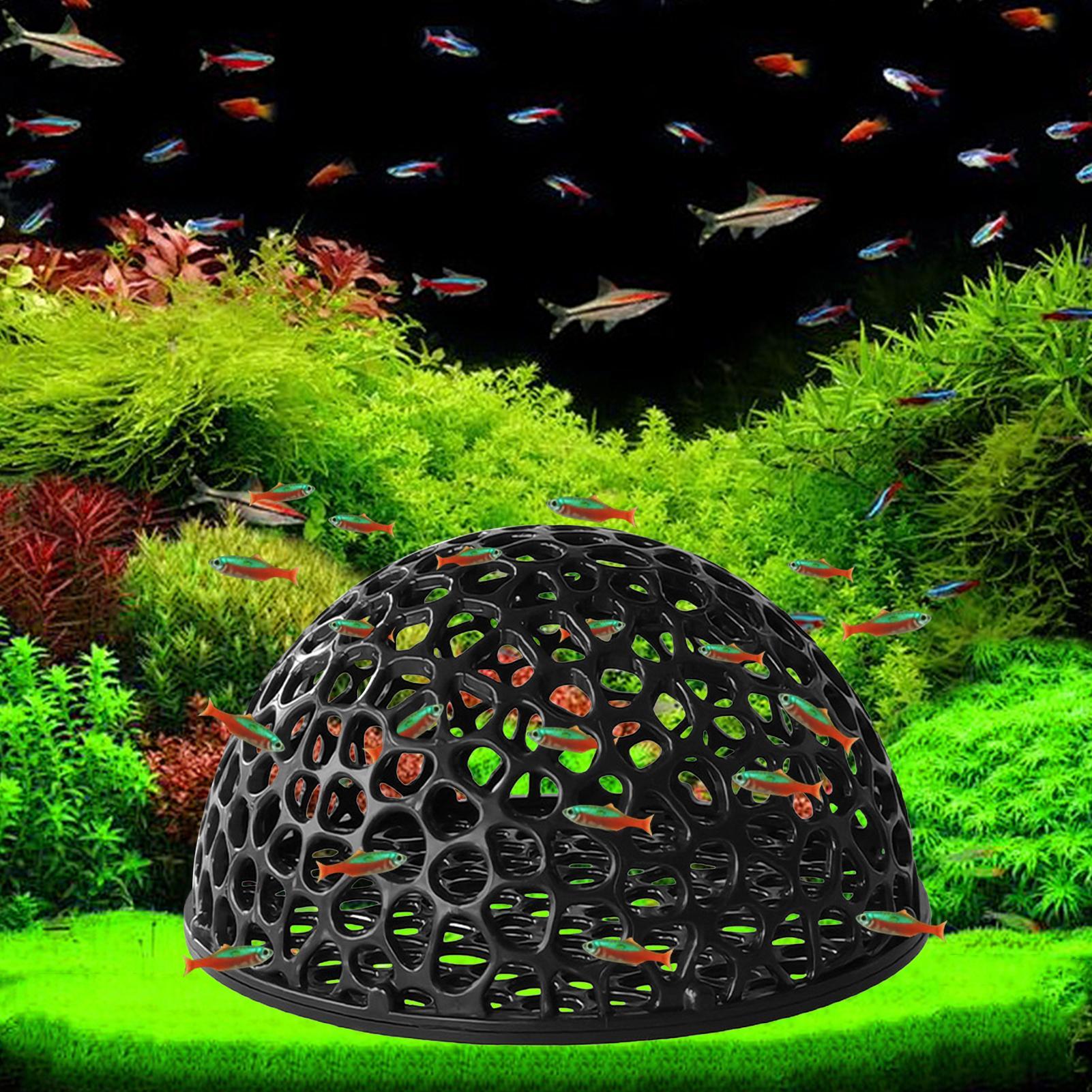 Shrimp Hide Breeding Hide Shri - Home Decor Habitat ulasan dan harga