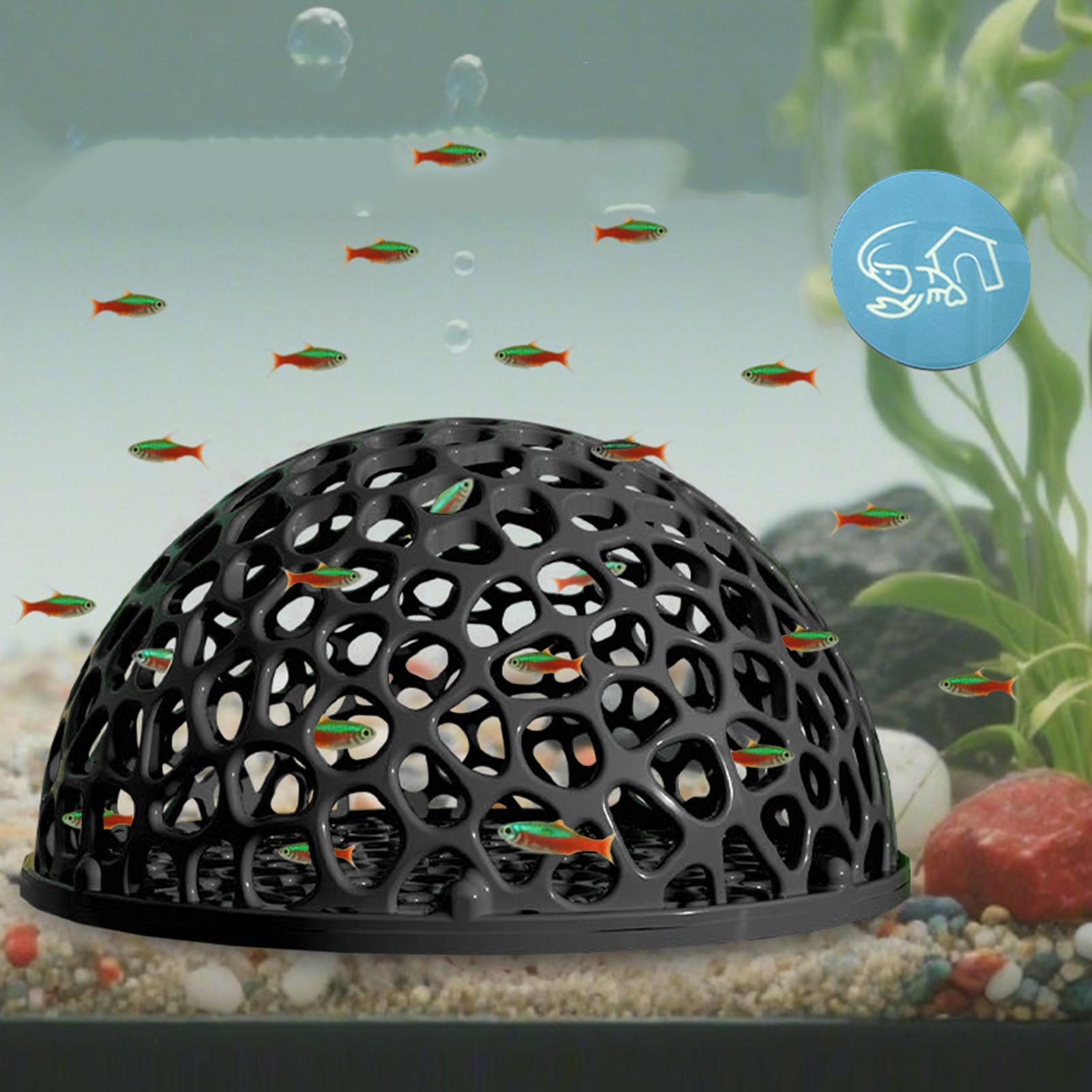 Shrimp Hide Breeding Hide Shri - Home Decor Habitat ulasan dan harga
