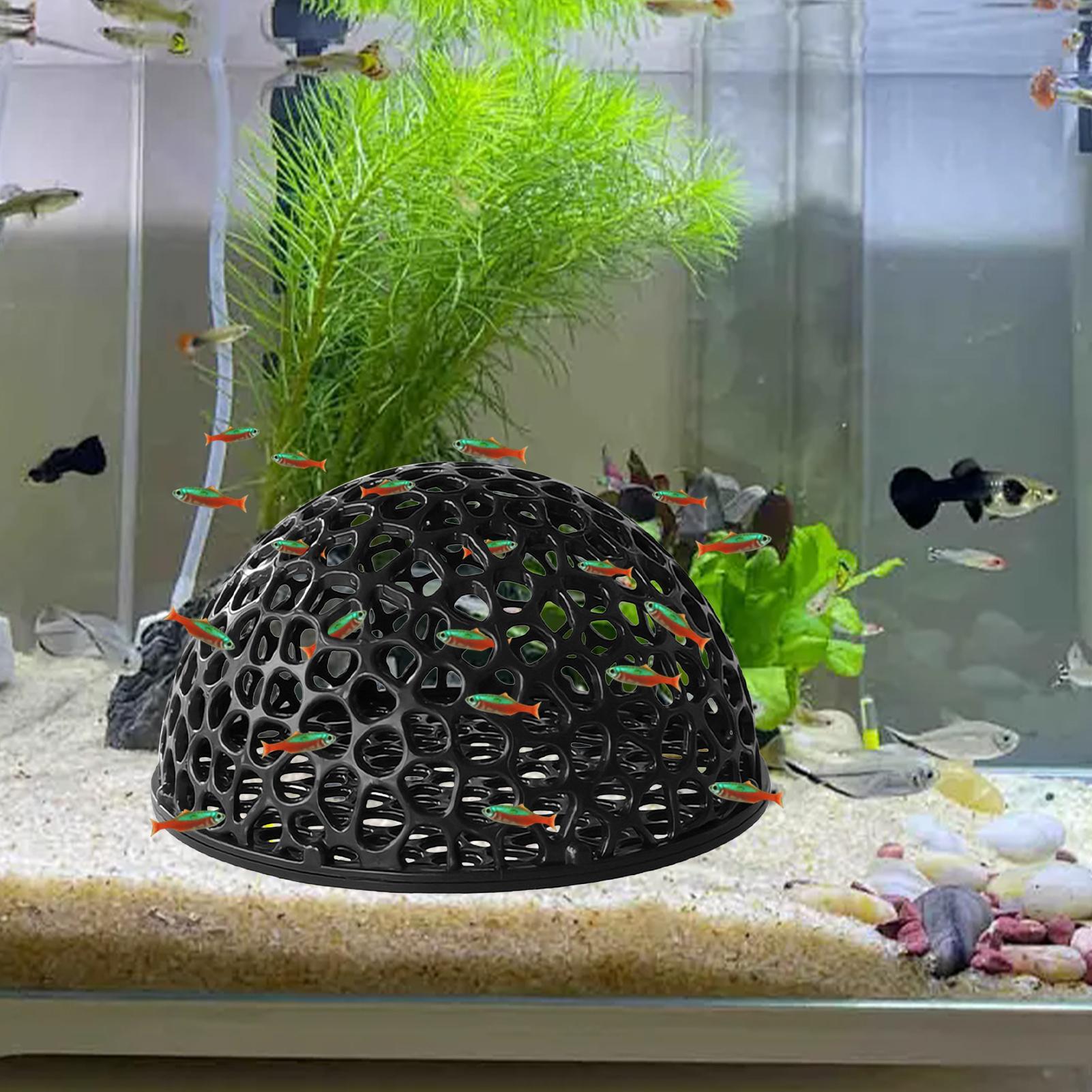 Shrimp Breeding Cave fish tank - Home Decor Habitat ulasan dan harga