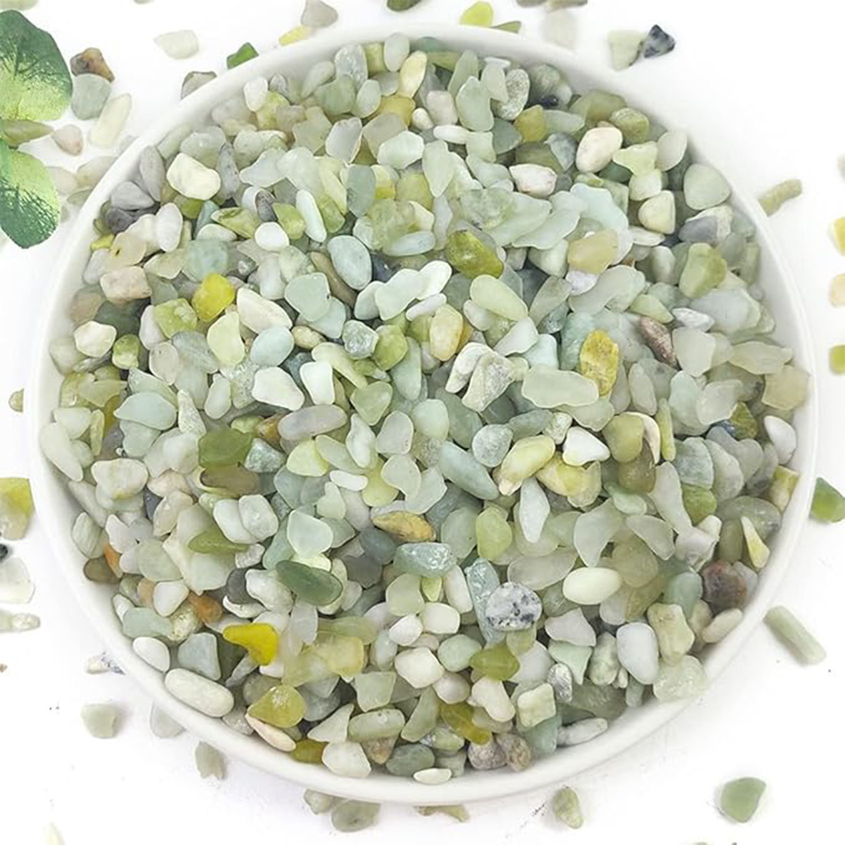 Succulent and Cactus Pebbles,  - Succulent Planter Pot ulasan dan harga