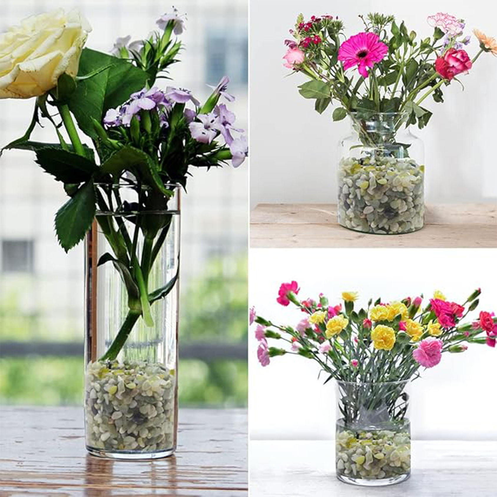 Succulent and Cactus Pebbles,  - Succulent Planter Pot ulasan dan harga