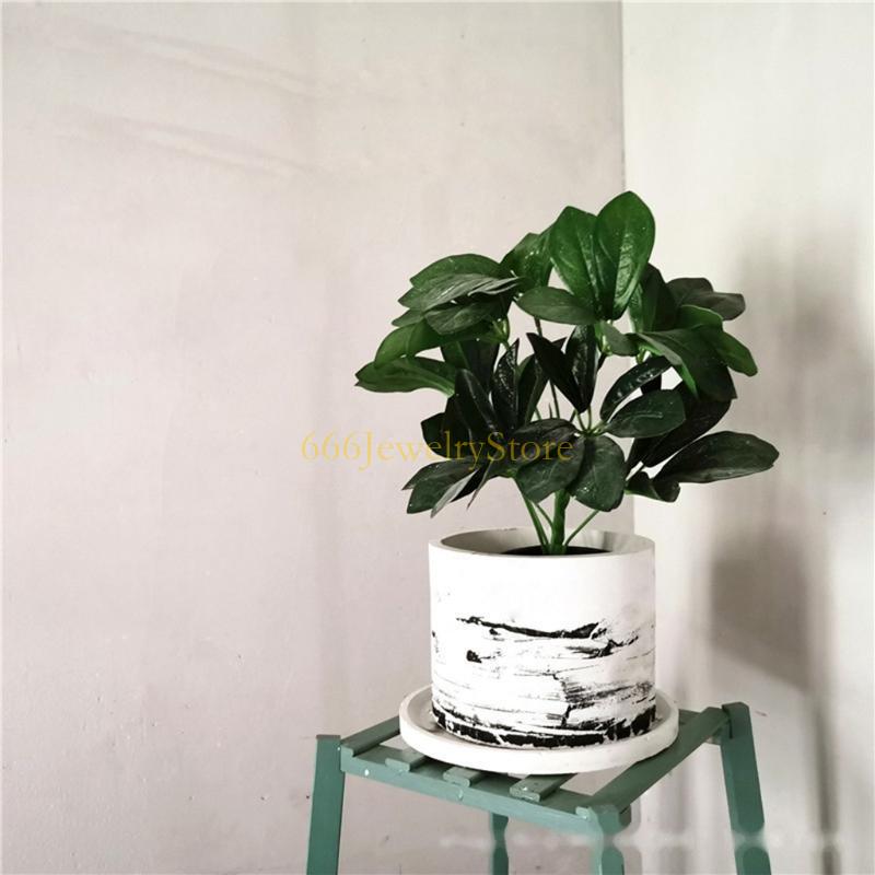 F2TD Large Round Concrete Flow - Succulent Planter Pot ulasan dan harga