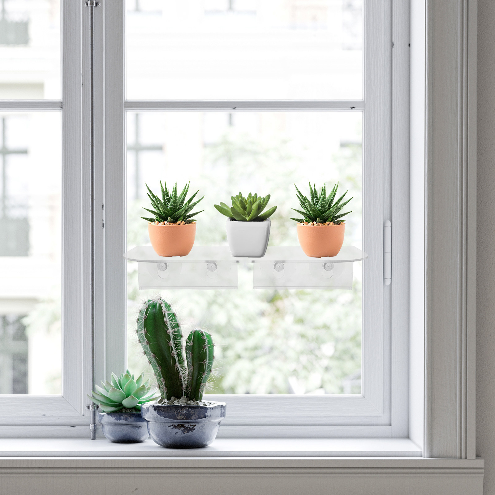 Suction Cup Window Plant Shelf - Floating Shelves ulasan dan harga