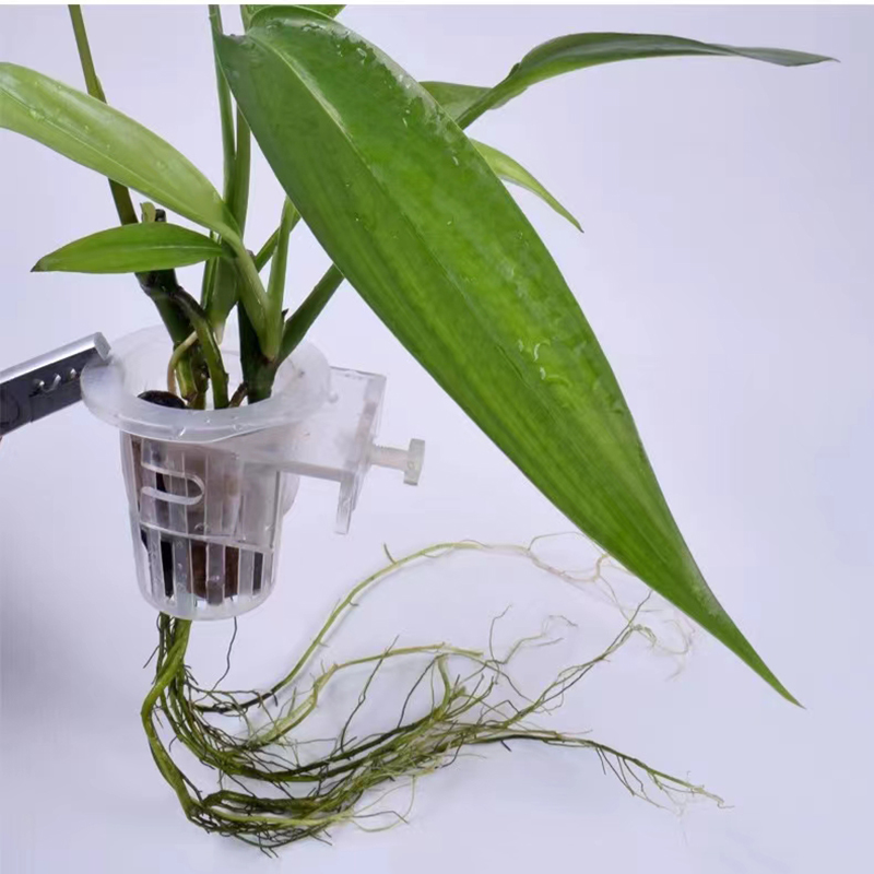 Aquarium Planting Basket Hydro - Woven Wall Basket ulasan dan harga